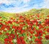 Mohnblumen 2 (3.7k)