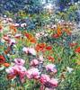Mohnblumenwiese 1 (4.2k)