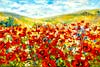 Mohnblumenfeld 2