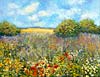 Blumenwiese 3