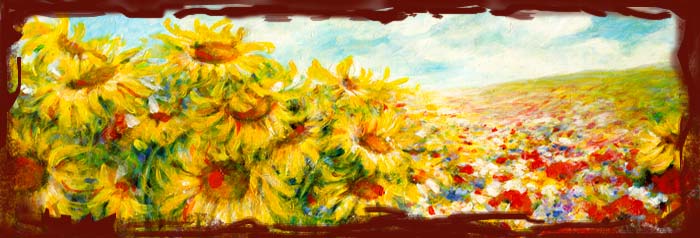 Mohnblumen